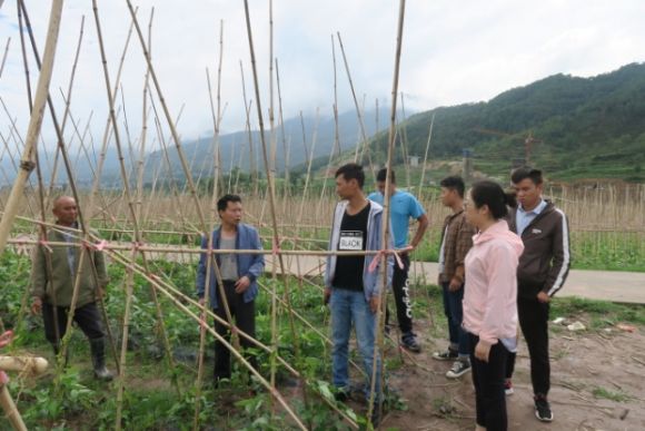 凉山越西人口多少_凉山越西地图