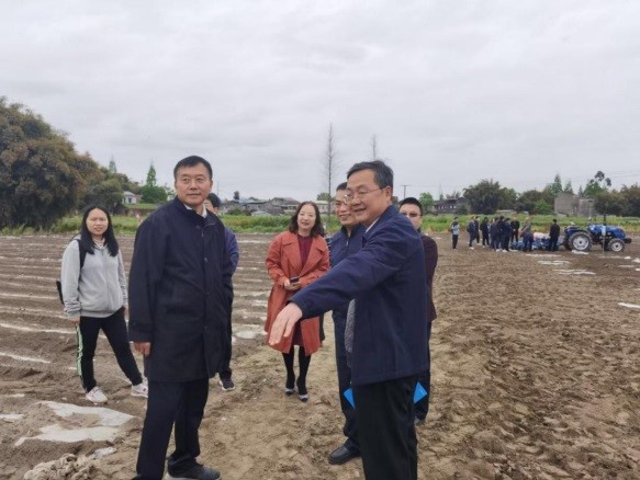 黄老五董事长_黄老五花生酥(3)