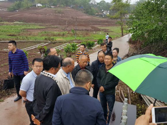 钟毅副书记一行到乐至县调研现代农业发展与乡村振兴