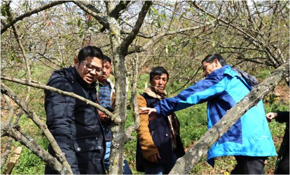 金阳县多少人口_凉山州金阳县图片(2)