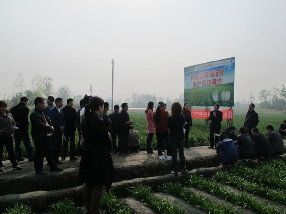 唐元镇人口_唐元木门价格图片