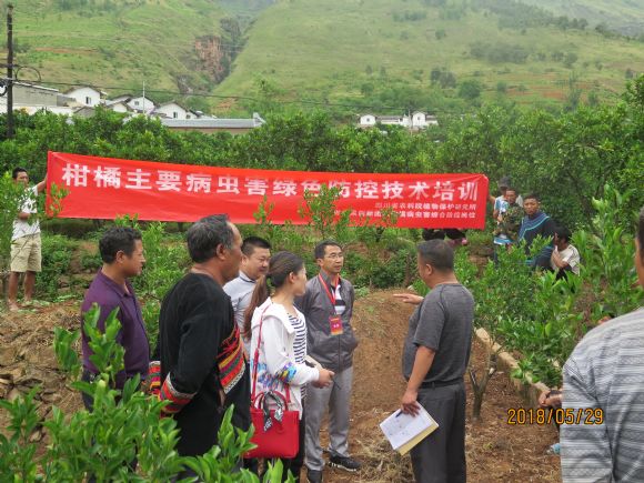 美姑人口_美姑县城图片(2)