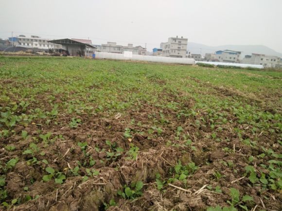 永泰镇人口_永泰霞拔镇主要风景(2)